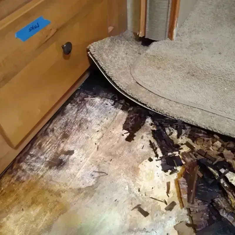 Wood Floor Water Damage in Kenilworth, IL